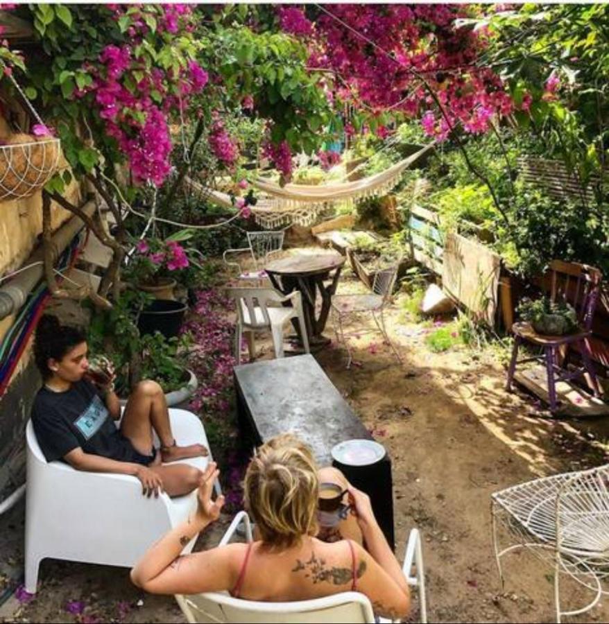 تل أبيب Jaffa Guesthouse المظهر الخارجي الصورة